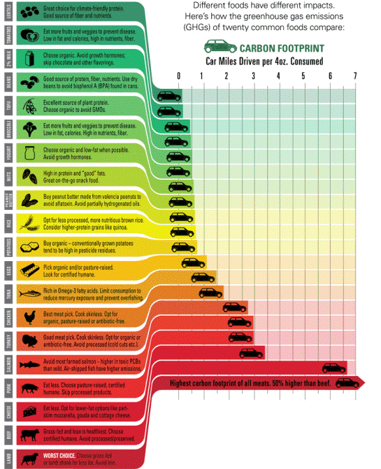 https://ecovisionslc.files.wordpress.com/2012/01/sustain-carbon-footprint-of-food-infographic.gif